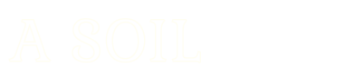 Château Citran, A soil